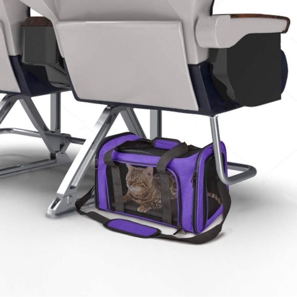 Pet Carrier